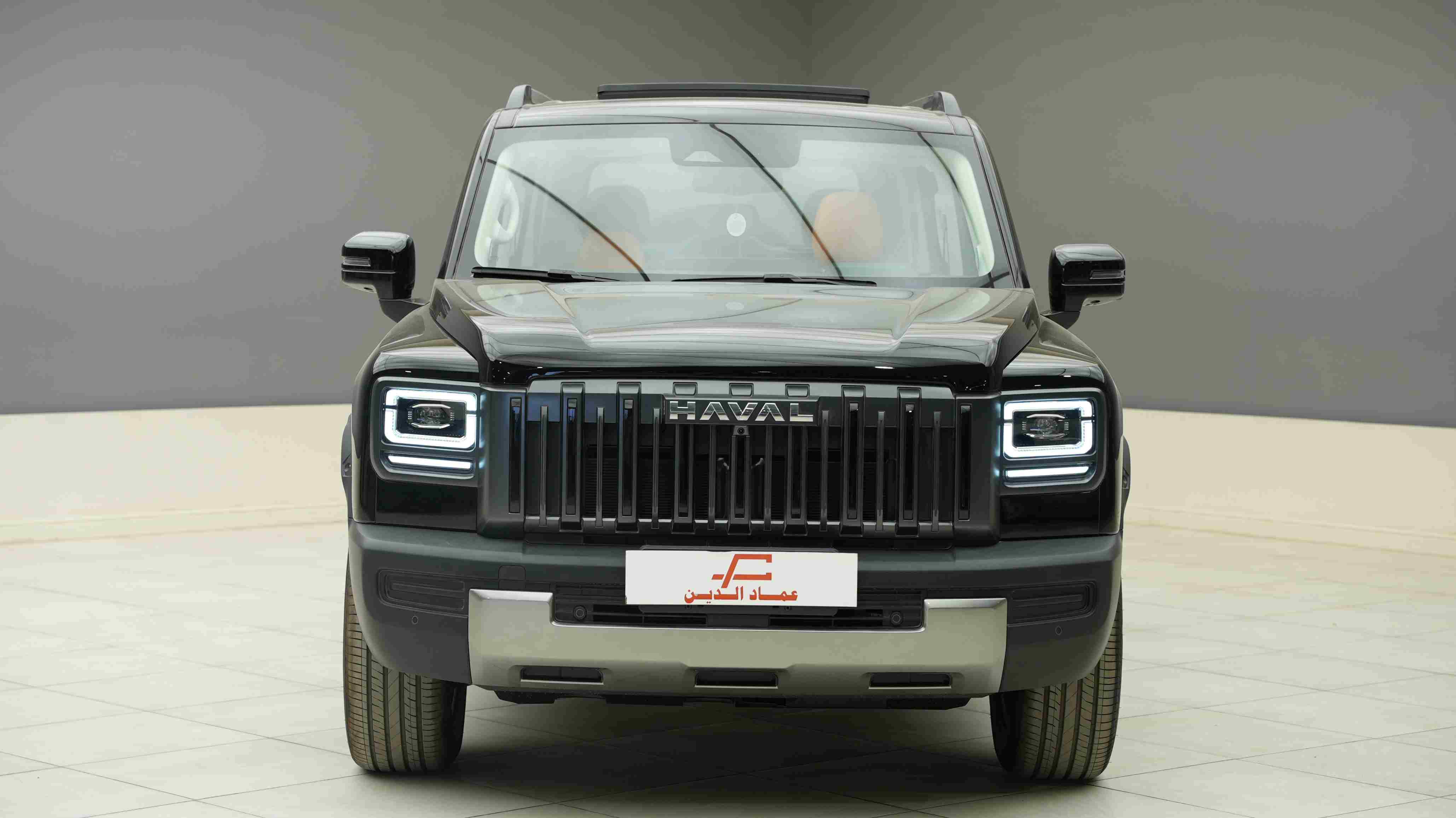 صورة 3
